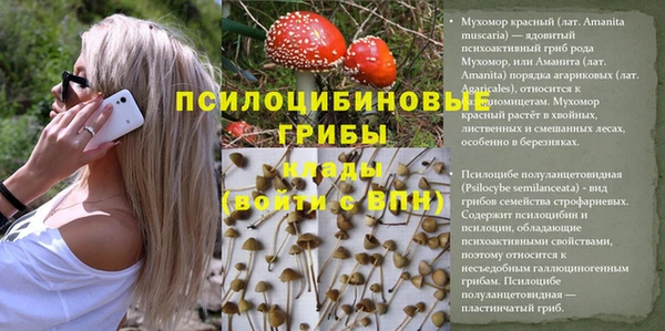 ПСИЛОЦИБИНОВЫЕ ГРИБЫ Беломорск