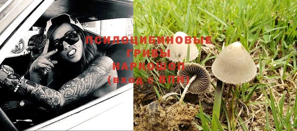ПСИЛОЦИБИНОВЫЕ ГРИБЫ Беломорск