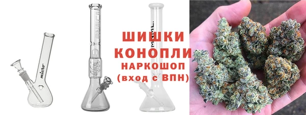 ПСИЛОЦИБИНОВЫЕ ГРИБЫ Беломорск