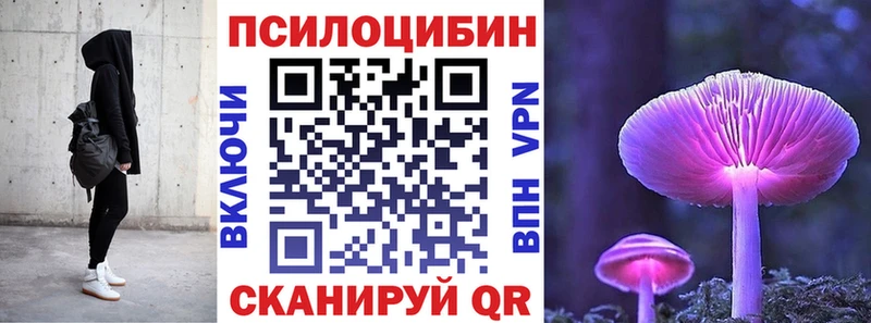 Галлюциногенные грибы MAGIC MUSHROOMS  продажа наркотиков  Кодинск 